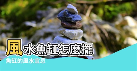 家裡放魚缸|風水魚缸怎麼擺？這些要點記下來旺財又旺運